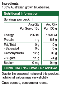 Forager Foods Freeze Dried Blueberries