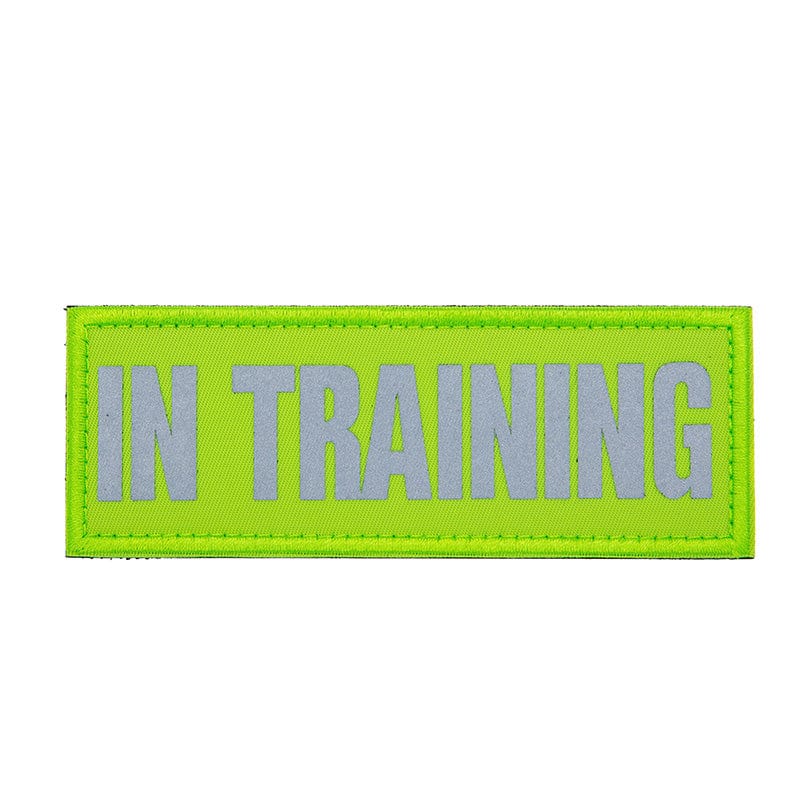 Valhalla Reflective In Training Patch