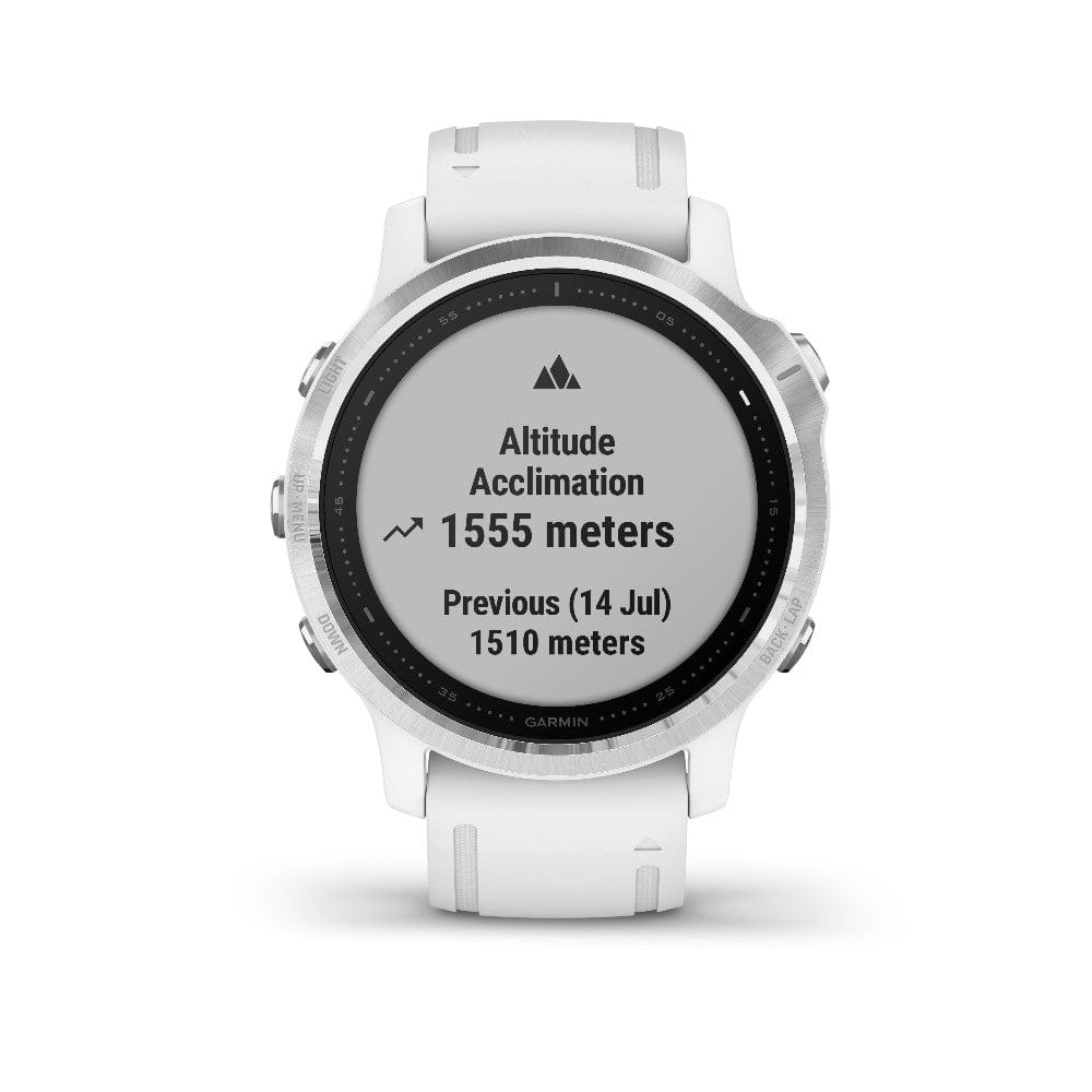 Garmin Fenix 6S